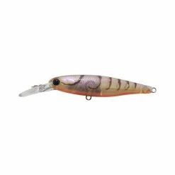 Jackall Squirrel Hard Body Lure 61mm Brown Suji Shrimp