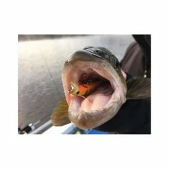 Hawk Lures Hawk Sniper Hard Body Lure 60S Black Widow