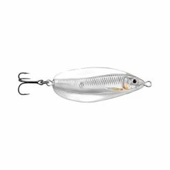 LIVE TARGET Livetarget Erratic Shiner Spoon Lure 11g Silver Pearl